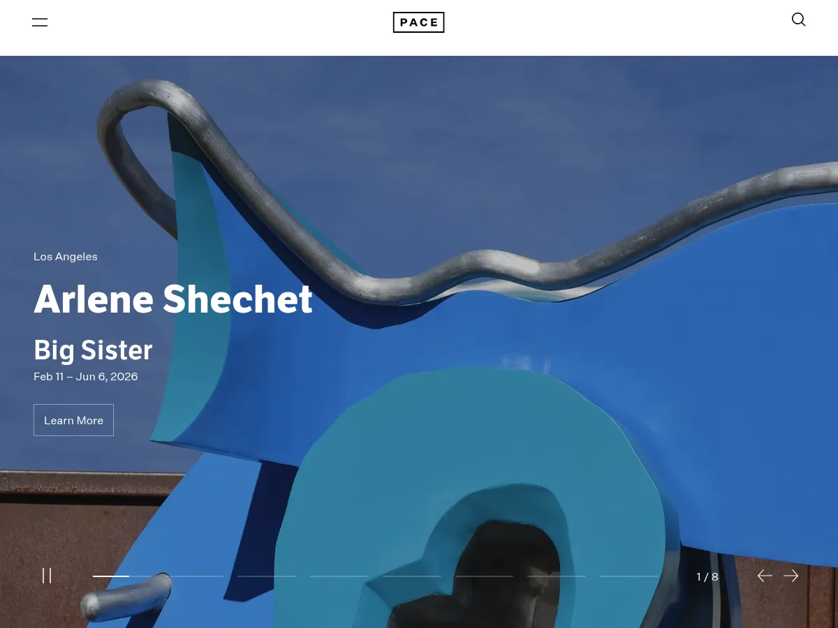 Pace Gallery Screenshot