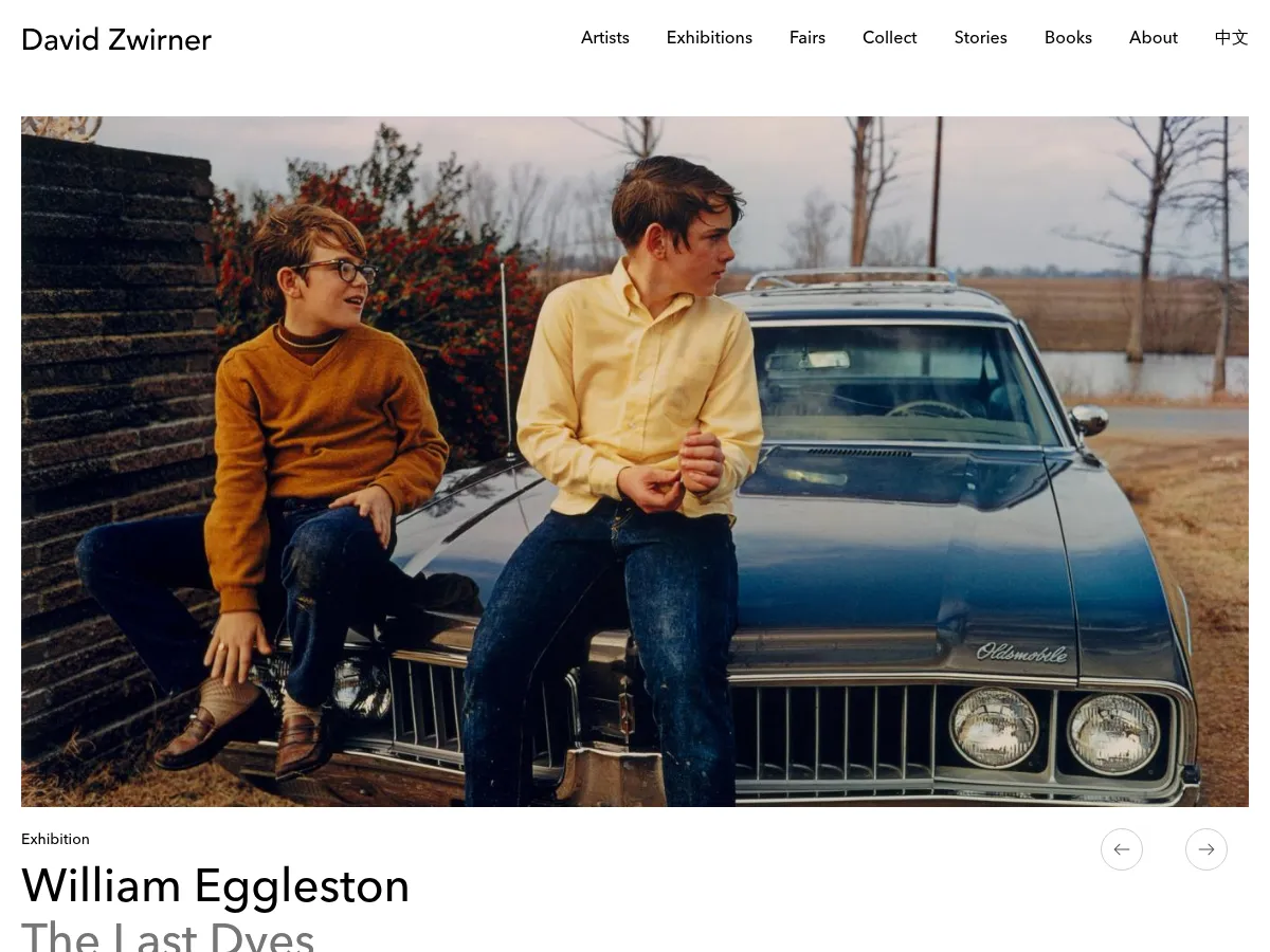 David Zwirner Screenshot